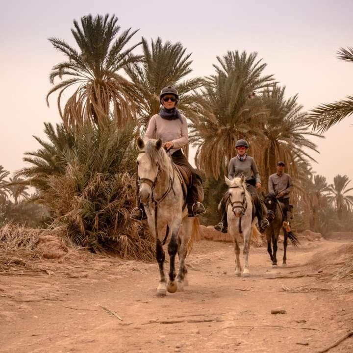 מלון Bivouac זאגורה מראה חיצוני תמונה