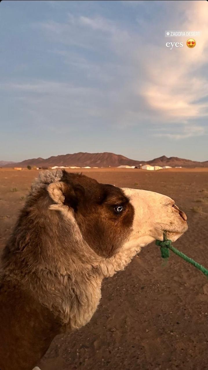 מלון Bivouac זאגורה מראה חיצוני תמונה