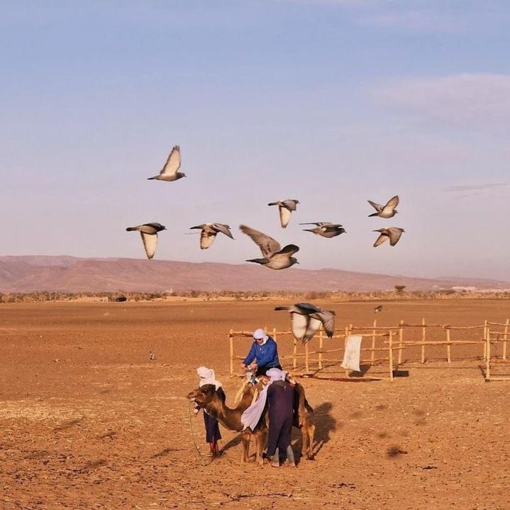 מלון Bivouac זאגורה מראה חיצוני תמונה