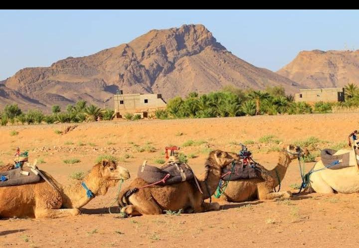 מלון Bivouac זאגורה מראה חיצוני תמונה
